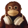 Monkey by @normtips 12