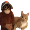 Monkey by @normtips 13