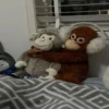 Monkey by @normtips 14