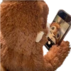 Monkey by @normtips 15