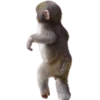 Monkeys 10