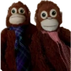 Monkey by @normtips 19