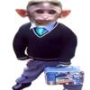 Monkey by @normtips 20