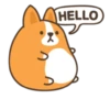 Belly corgi | 13
