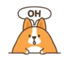 Belly corgi | 15