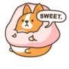 Belly corgi | 16
