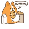 Belly corgi | 19