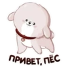 #beomgyu meme « 🥠 by 17
