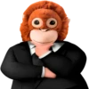 Monkey by @normtips 23