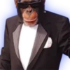 Monkeys 21