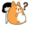 Belly corgi | 21