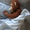 Monkey by @normtips 24