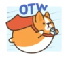Belly corgi | 22