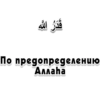 Arabicstick 24