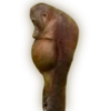 Monkeys 25