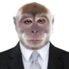 Monkey by @normtips 25