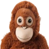 Monkey by @normtips 27