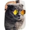 Cats by 10