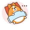 Belly corgi | 23