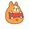 Belly corgi | 24