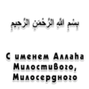 Arabicstick 28