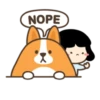 Belly corgi | 25
