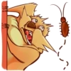 BearBob 26