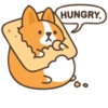 Belly corgi | 26