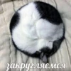 Всраті коти 28