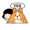 Belly corgi | 27