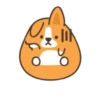 Belly corgi | 28