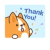 Belly corgi | 29
