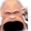Monkey Putin 6