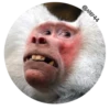 Face 5