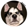 Face 9