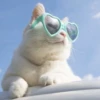 PETS! 6