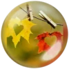 @Beegharar1980  Farzadandy1980 11
