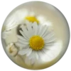 @Beegharar1980  Farzadandy1980 17