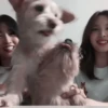 #live: nayeon & momo 270621;: by 10