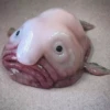artisanalfunny 8
