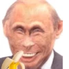 Monkey Putin 15