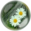 @Beegharar1980  Farzadandy1980 19