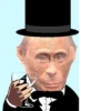Monkey Putin 17