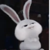 Bunnystikr:@kpop_stikers :: 11