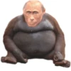 Monkey Putin 19