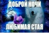 серьёзный пак 11