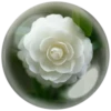 @Beegharar1980  Farzadandy1980 20