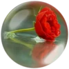 @Beegharar1980  Farzadandy1980 21