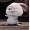 Bunnystikr:@kpop_stikers :: 15
