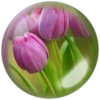 @Beegharar1980  Farzadandy1980 22